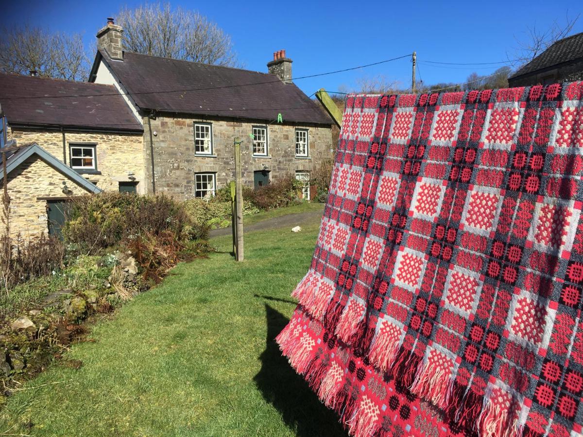 Farm stay Nantgwynfaen Organic Farm Wales *