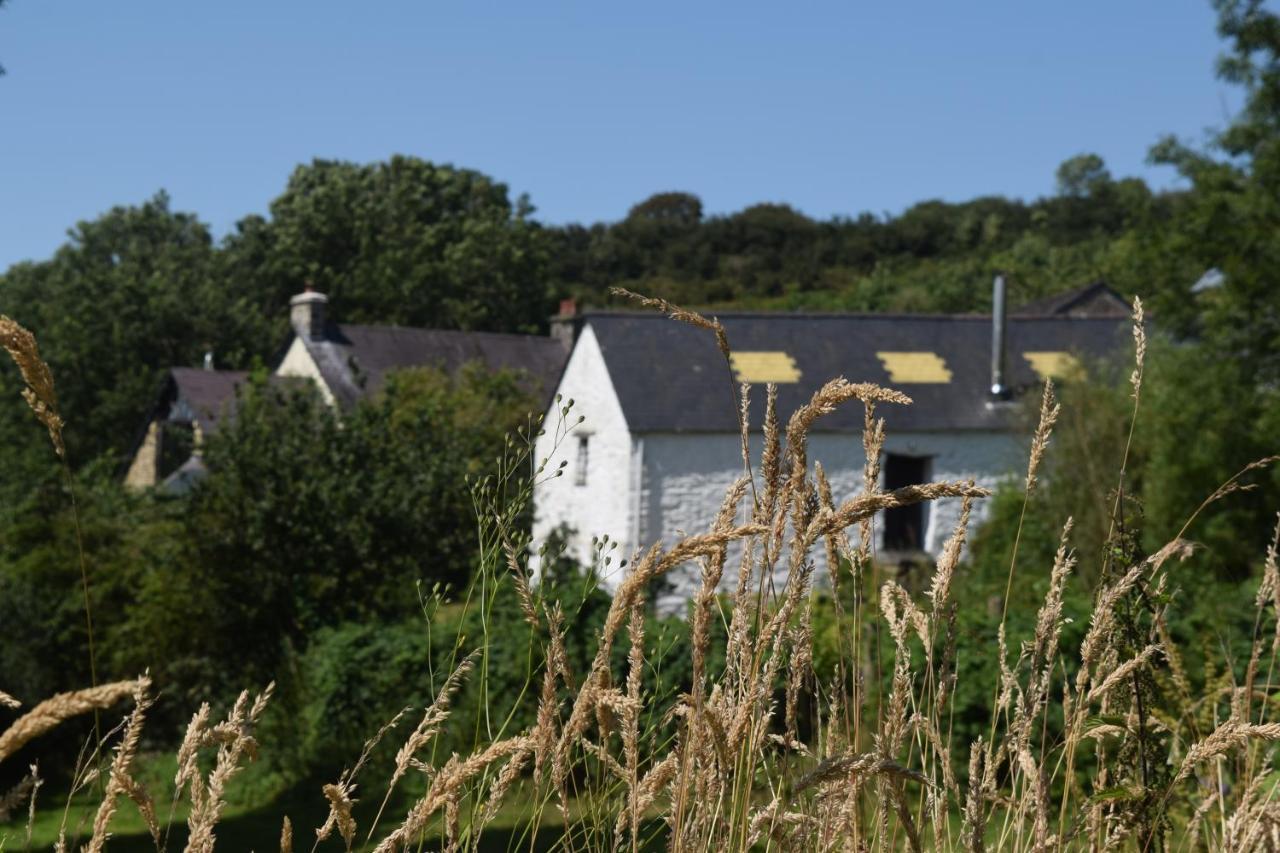 Nantgwynfaen Organic Farm Wales * Llandysul