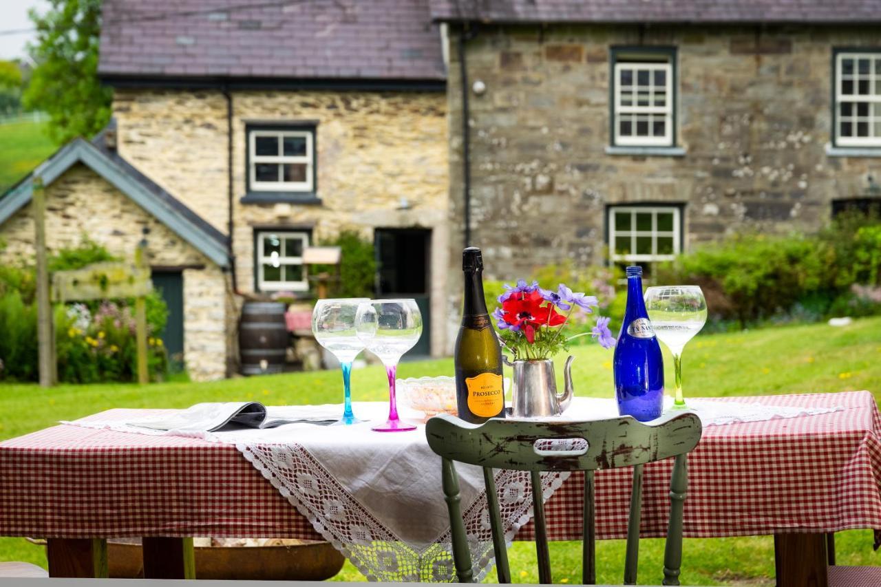 Nantgwynfaen Organic Farm Wales Farm stay Llandysul