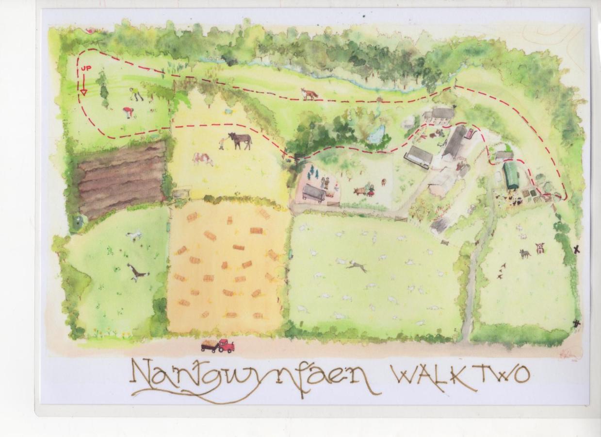 Nantgwynfaen Organic Farm Wales Llandysul