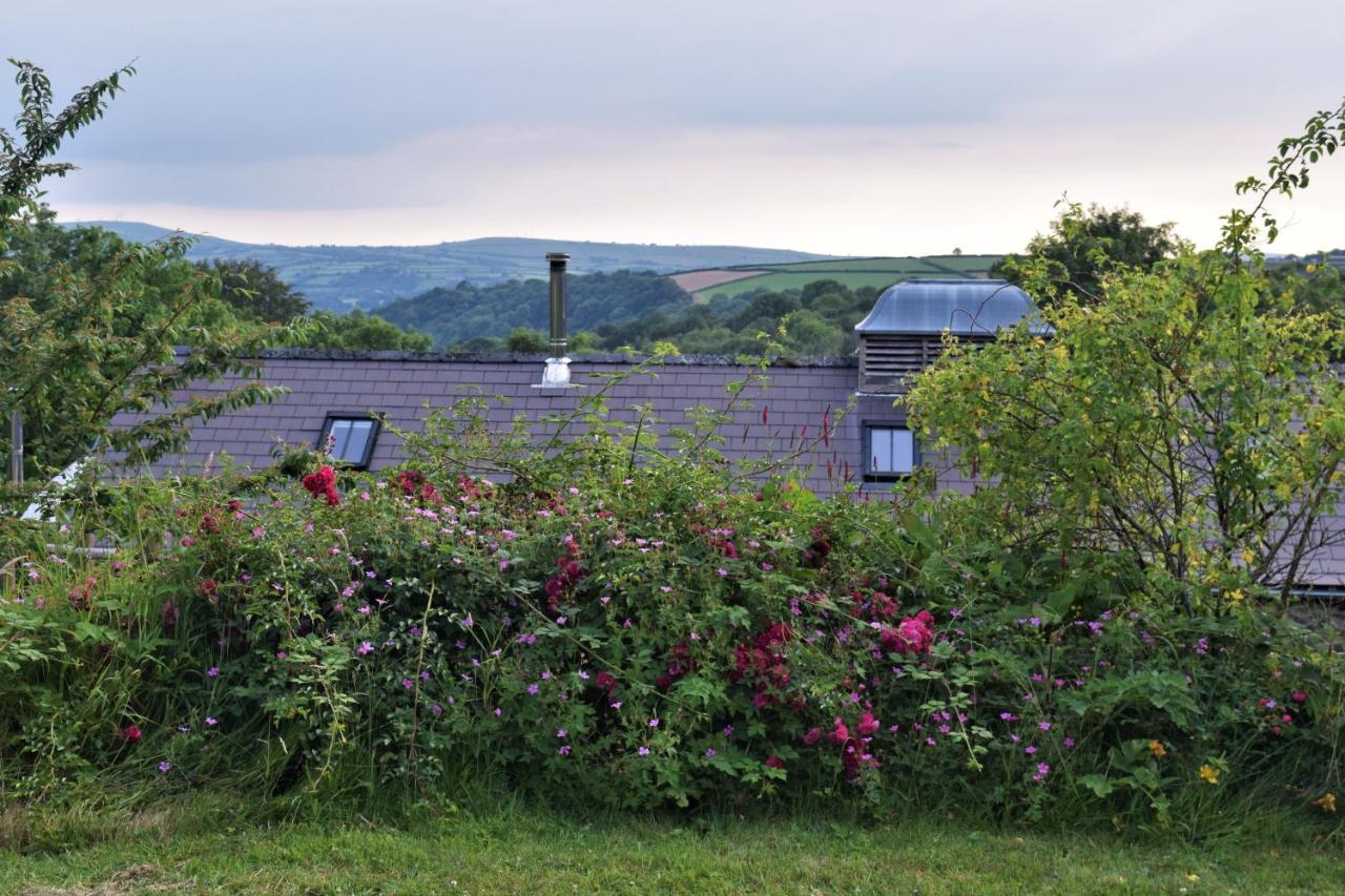 Nantgwynfaen Organic Farm Wales *