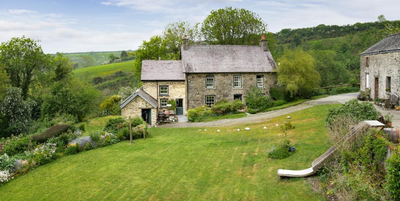 Farm stay Nantgwynfaen Organic Farm Wales
