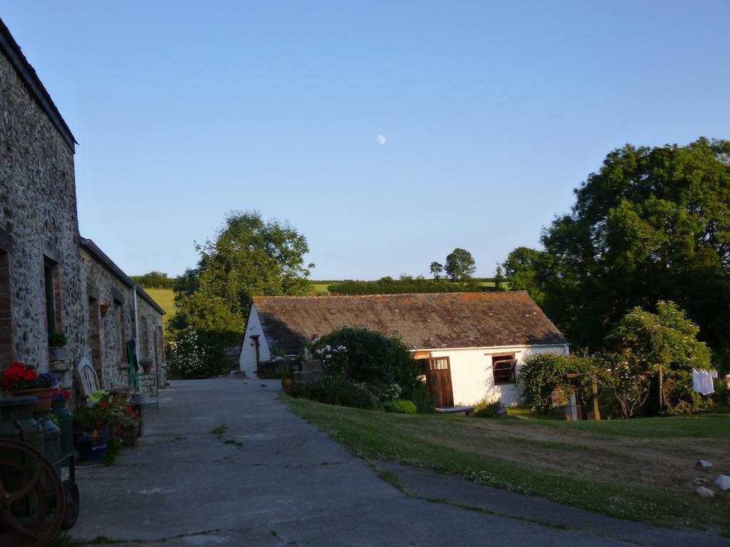 Farm stay Nantgwynfaen Organic Farm Wales