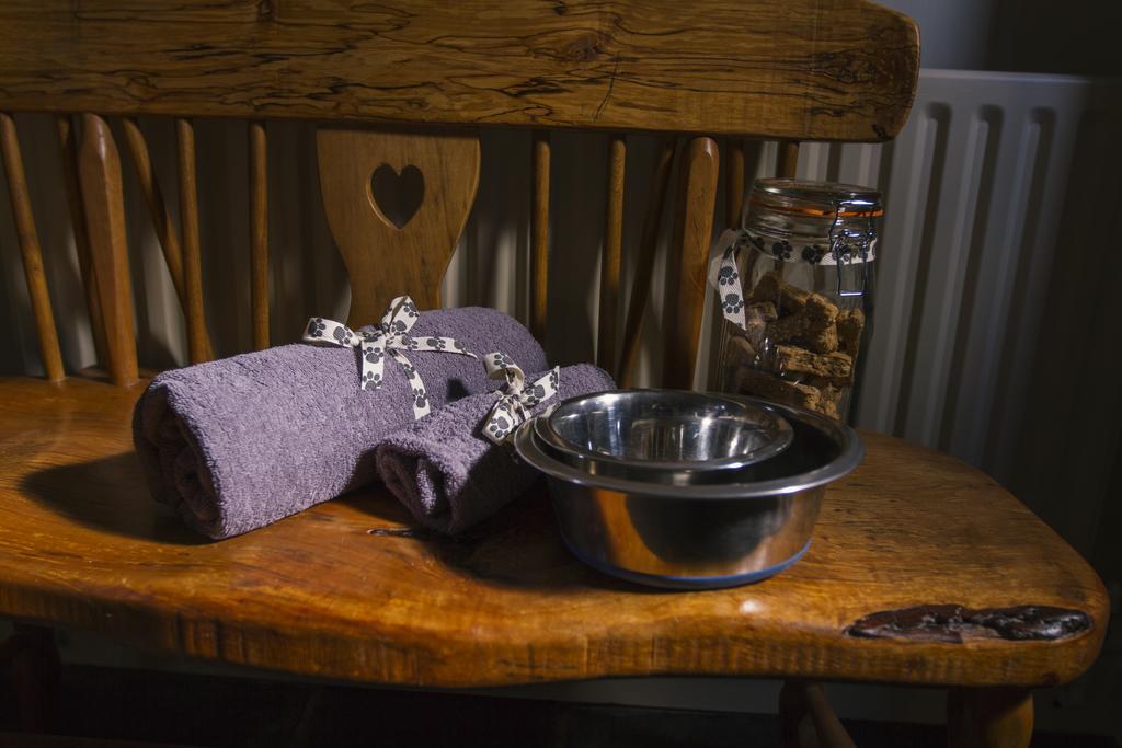 Farm stay Nantgwynfaen Organic Farm Wales *